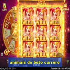 animais do beto carrero